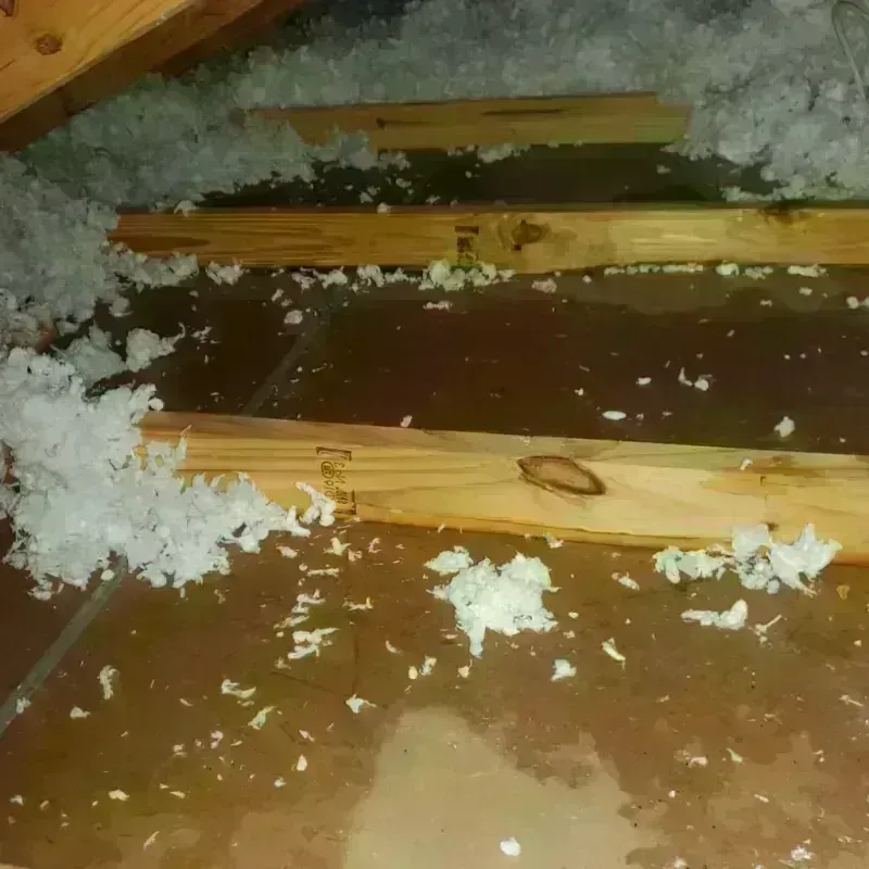 Attic Water Damage in Kenwood, OK