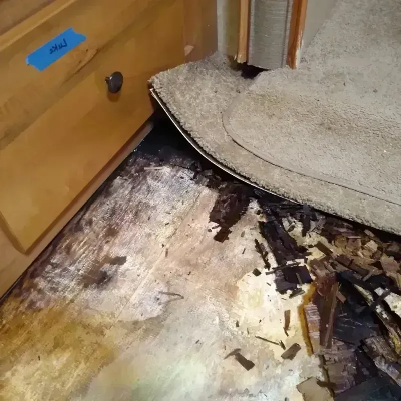 Best Wood Floor Water Damage Service in Kenwood, OK